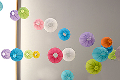 SPRING HAS SPRUNG BAT MITZVAH